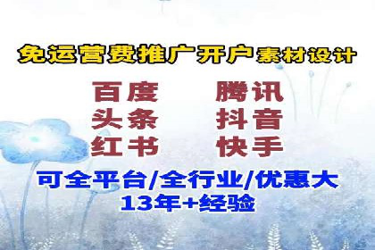 SEM代运营案例分析：精准投放策略解析